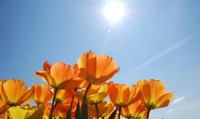 lente mooi voorjaar